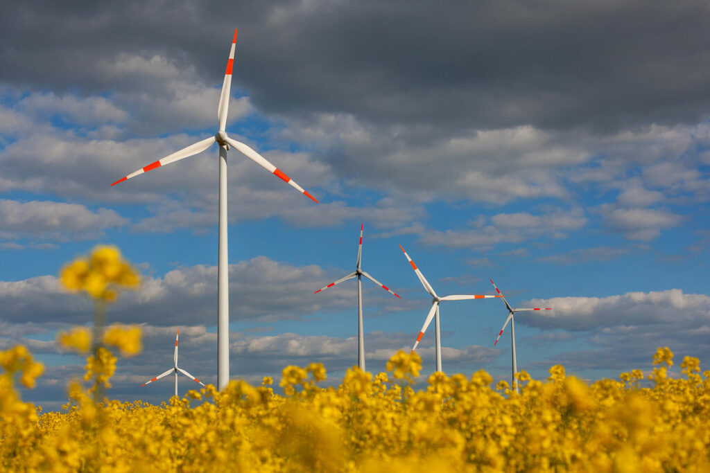 Ветроэнергетика Германии растет, несмотря на COVID-19
