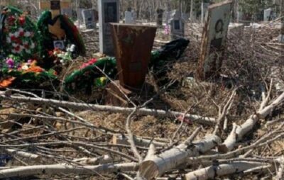 Энергетики Камчатки объяснили причины «кладбищенского» лесоповала