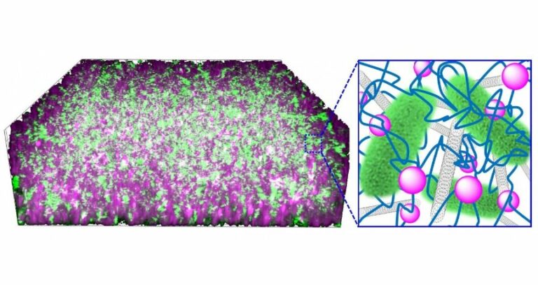 Новая биогидридная батарея сочетает в себе бактерии и нанокомпозитный материал