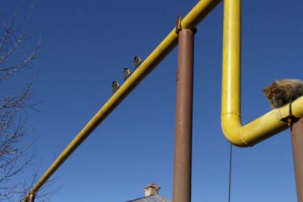 В Саратовской области снижается протяженность бесхозяйных газопроводов