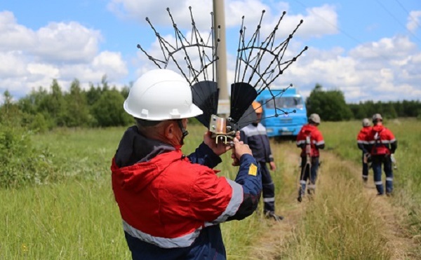 «ФСК ЕЭС» установит 578 птицезащитных устройств на семи ЛЭП в Ярославской области