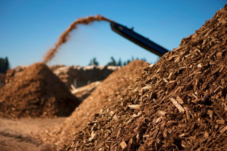 К вопросу использования древесной биомассы в электроэнергетике
