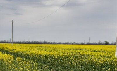 В Адыгее раскрыта серия краж энергооборудования на 700 тыс. рублей