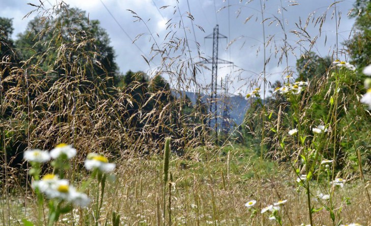 Россети Кубань» повышает надежность энергоснабжения отдаленных поселков в предгорных районах Кубани