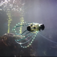 Ученые из США создали робота-кальмара. Он плавает и фотографирует морских обитателей