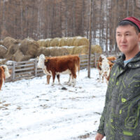 «Россети Сибирь» обеспечивает мощностями новые фермы