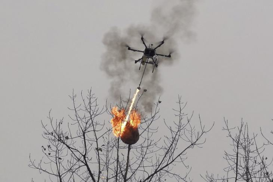 В Китае дронов обучили уничтожать осиные гнезда