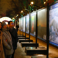 При поддержке «Роснефти» в Москве открылась фотовыставка «Притяжение Арктики»