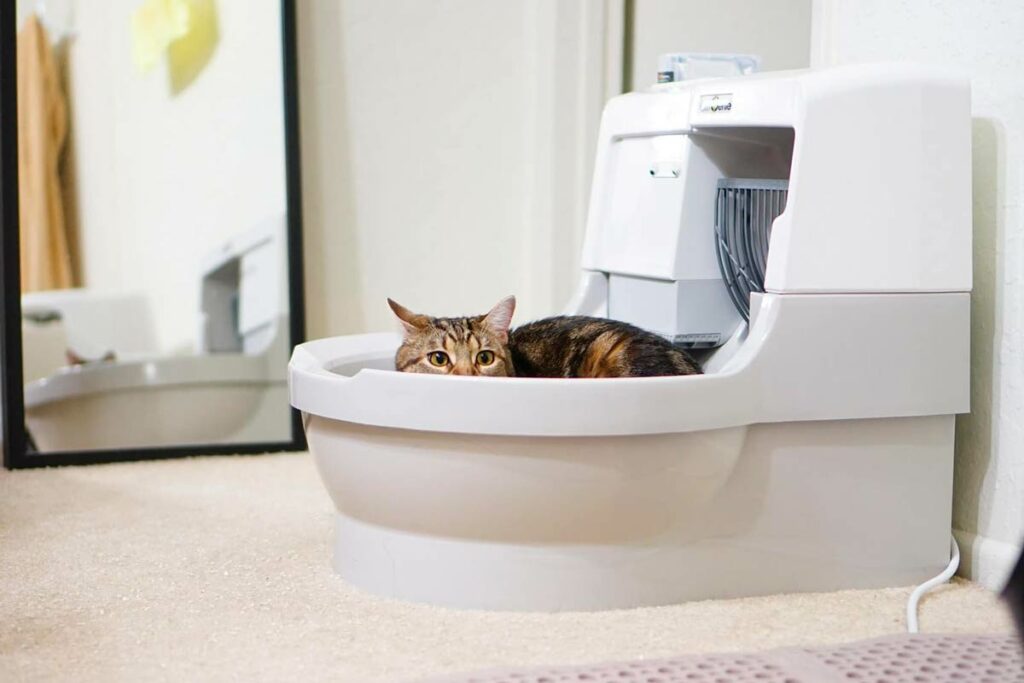 Автоматический туалет для кошек CatGenie