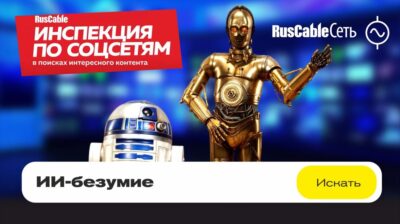 ИПС13